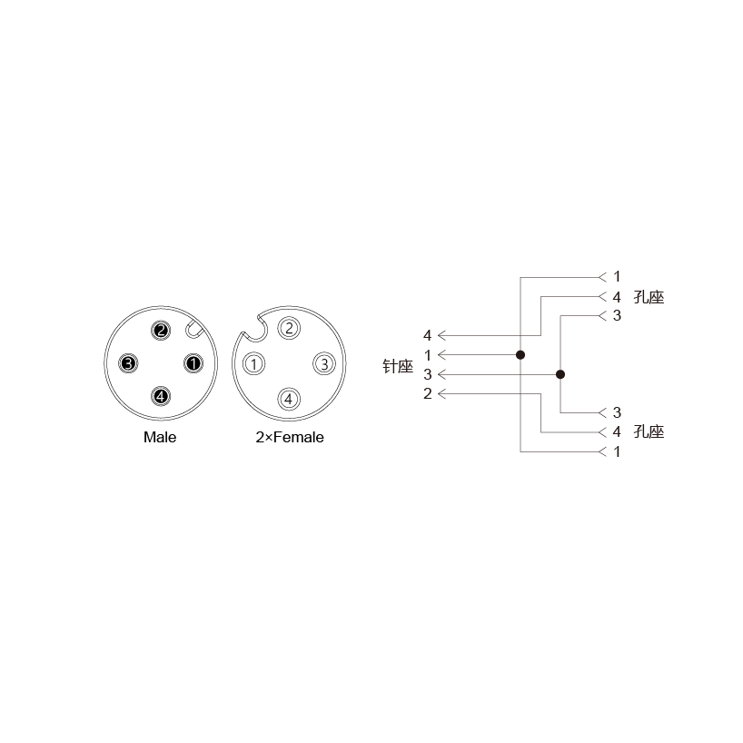 Y-EAM4-2EAF3-2-2/C00