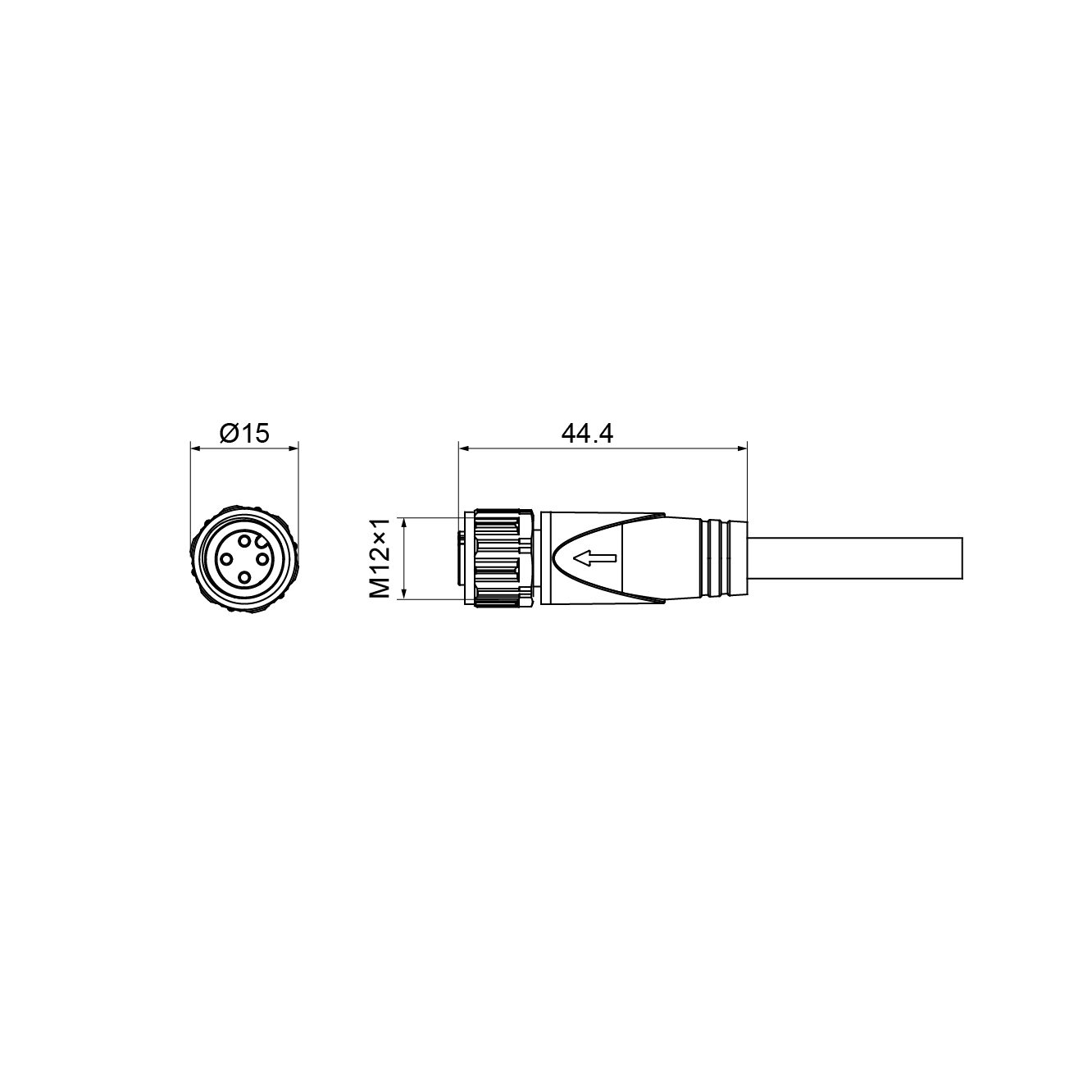 EAF4-2/CC31