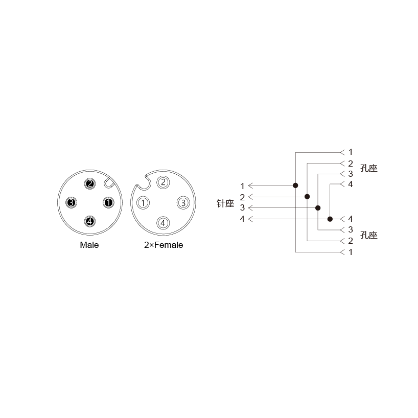 Y-EAM4-2EAF4-2-2/C00/PAR