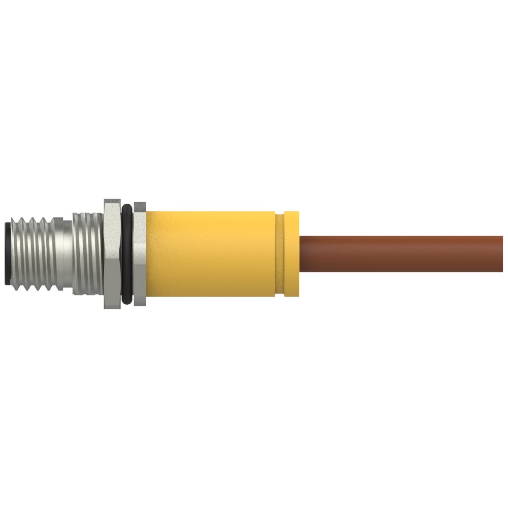 FEAM4R-2/CC31