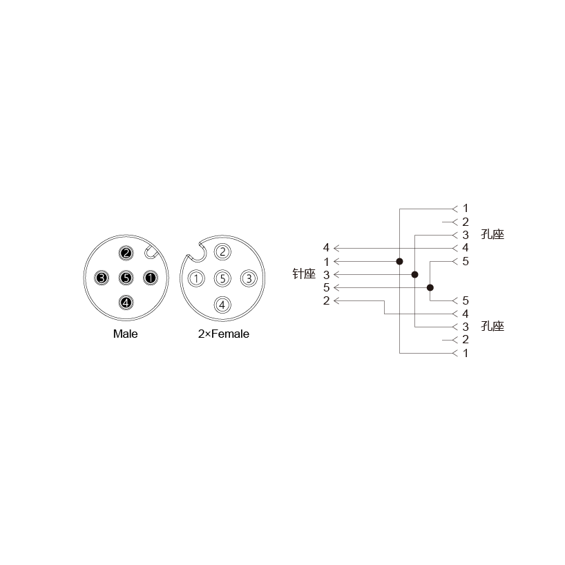 YW-EAM5-2-2EAF4.5-2-2/C00